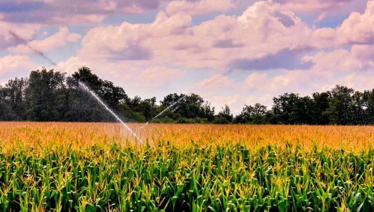 Uso de água no agronegócio o que é mito e o que é verdade