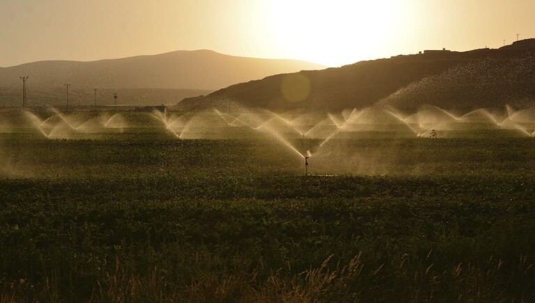 How is the relationship of productivity, irrigation and costs in agribusiness