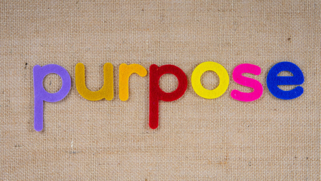 A palavra 'Purpose' bordada em letras coloridas, representando o contexto da Janela de Johari e propósito de vida discutido na matéria.
