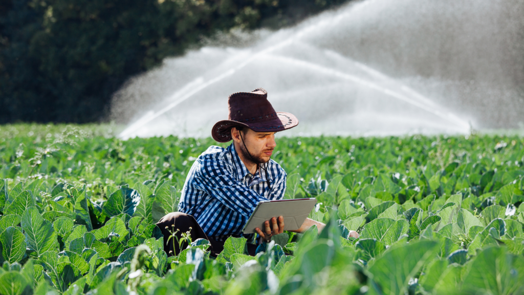O uso da tecnologia no campo vem definindo o futuro agropecuário