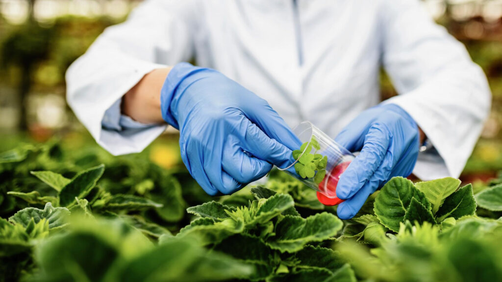 Imagem destacando as inovações em biotecnologia que estão moldando o futuro do agronegócio, com foco em melhoramento genético, bioinsumos e CRISPR.