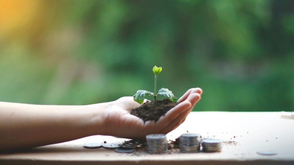 Mão segura uma muda de planta ao lado de moedas, para simbolizar a economia verde.